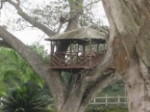 Imagen Hacienda Jambelí 